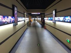 -华美国际影城(旧宫永辉店)