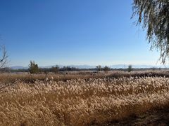 -野鸭湖国家湿地公园