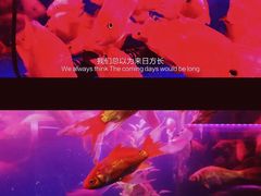 -登良(地铁站)
