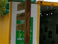 -上海都市菜园