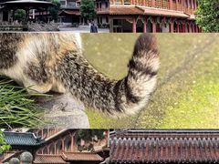 -高旻寺