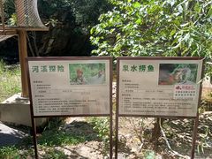 -黑龙潭风景区