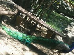 -昆明动物园