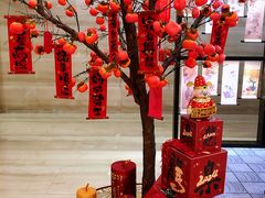 -上海市普陀区文化馆
