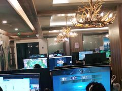 -网鱼电竞(杨浦中原店)