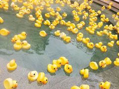 -苏州湾王焰温泉度假酒店