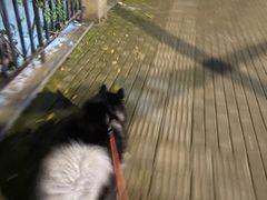 -福州肆爪动物医院