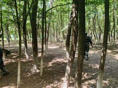 -亲兄弟真人CS团建拓展基地