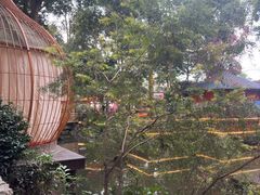 -二荆条·蜀鲜汇城市森林火锅