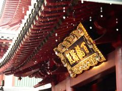 -新加坡佛牙寺龙华院