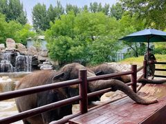 -北京野生动物园