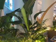 -贝林大翅鲸简餐厅(国家海洋博物馆店)