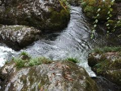 -龙苍沟森林公园