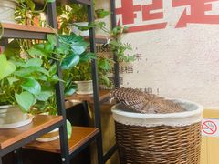 -牛犇烤肉(物资学院路店)