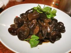 凉拌木耳-绿茶餐厅(华联万柳店)