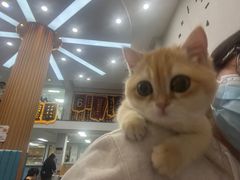 -联合动物医院(光谷诊疗中心)