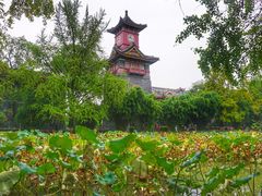 -四川大学(华西校区)