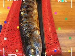 -浦·传统日式料理(3 5 1 1 店)