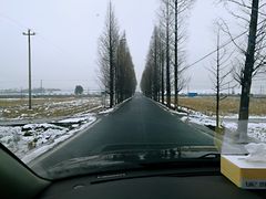 -四明山国家森林公园