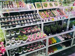 -KKV(天津津南吾悦广场店)