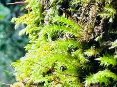 -龙苍沟森林公园