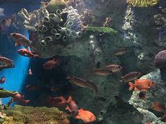 -福州罗源湾海洋世界旅游区