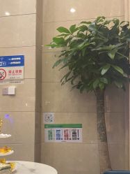 点击看大图 -碧莲盛·不剃发植发