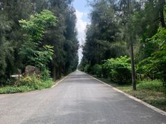 -漩门湾国家湿地公园