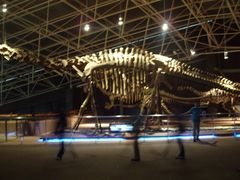 -世界恐龙谷景区