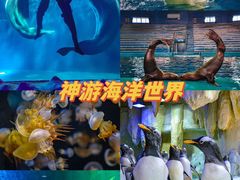-《神游传奇》秀