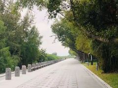 -福田红树林生态公园