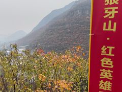 -狼牙山风景区