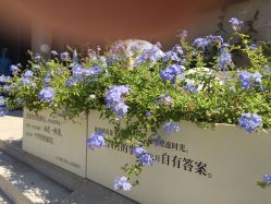 -Dr.U博士医疗美容医院
