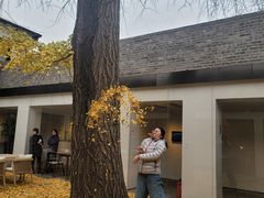 -自如ZSPACE四合院艺术餐厅