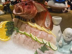 东星斑-尚海豆捞(乐虹坊店)