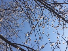 -长春市十一高中