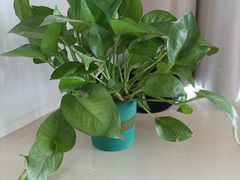 -佰推·肩颈腰·推拿理疗(湾悦城店)