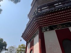 -顺峰山公园