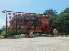 -合肥滨湖国家森林公园