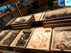 -芭提雅Amporn Seafood自助餐厅