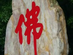 -南国桃园旅游度假区