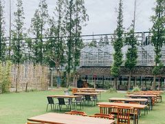 -前小桔亲子创意农场·草莓采摘·露营烧烤