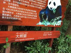 -深圳野生动物园