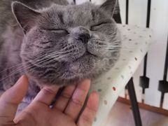 -Rabbit Cafe私房西餐甜点咖啡(栖霞路店)