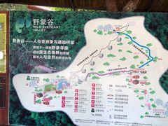 -野象谷景区