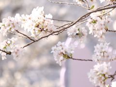 -上海辰山植物园