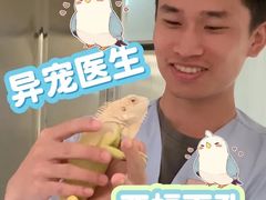 -立德异宠动物医院.兔鸟爬.内窥镜(天河店)