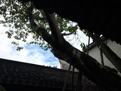 -乌镇东栅景区