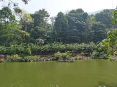 -深圳仙湖植物园
