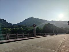 -风云岭森林公园